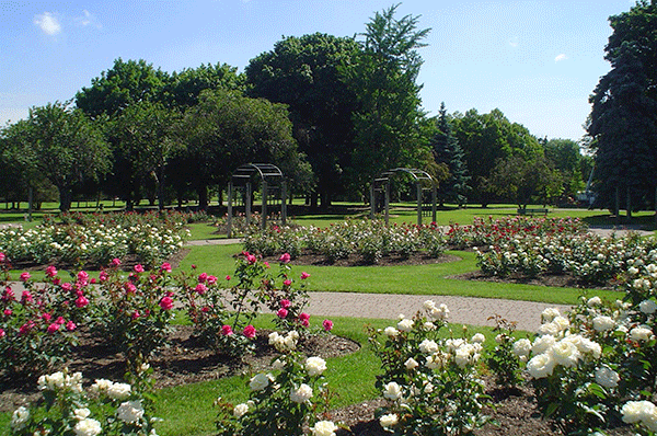 Gage Park